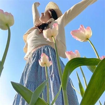 清官难审